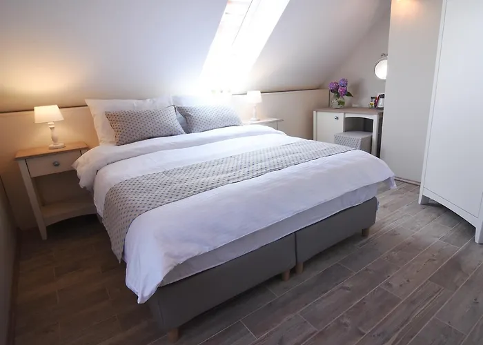 Janez * לובליאנה