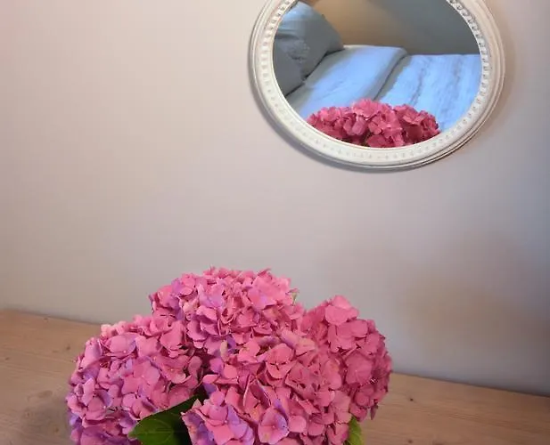 Janez * לובליאנה